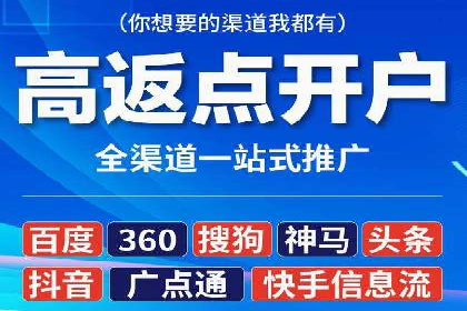 竞价推广中的着陆页策略：成功案例解读